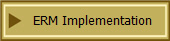 ERM Implementation